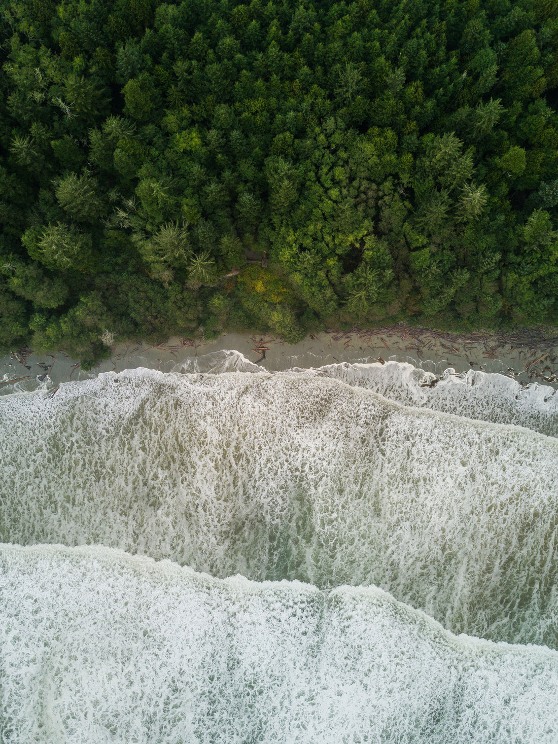 Will CBD make me high? A lesson from the California School of Cold Pressed Juice....